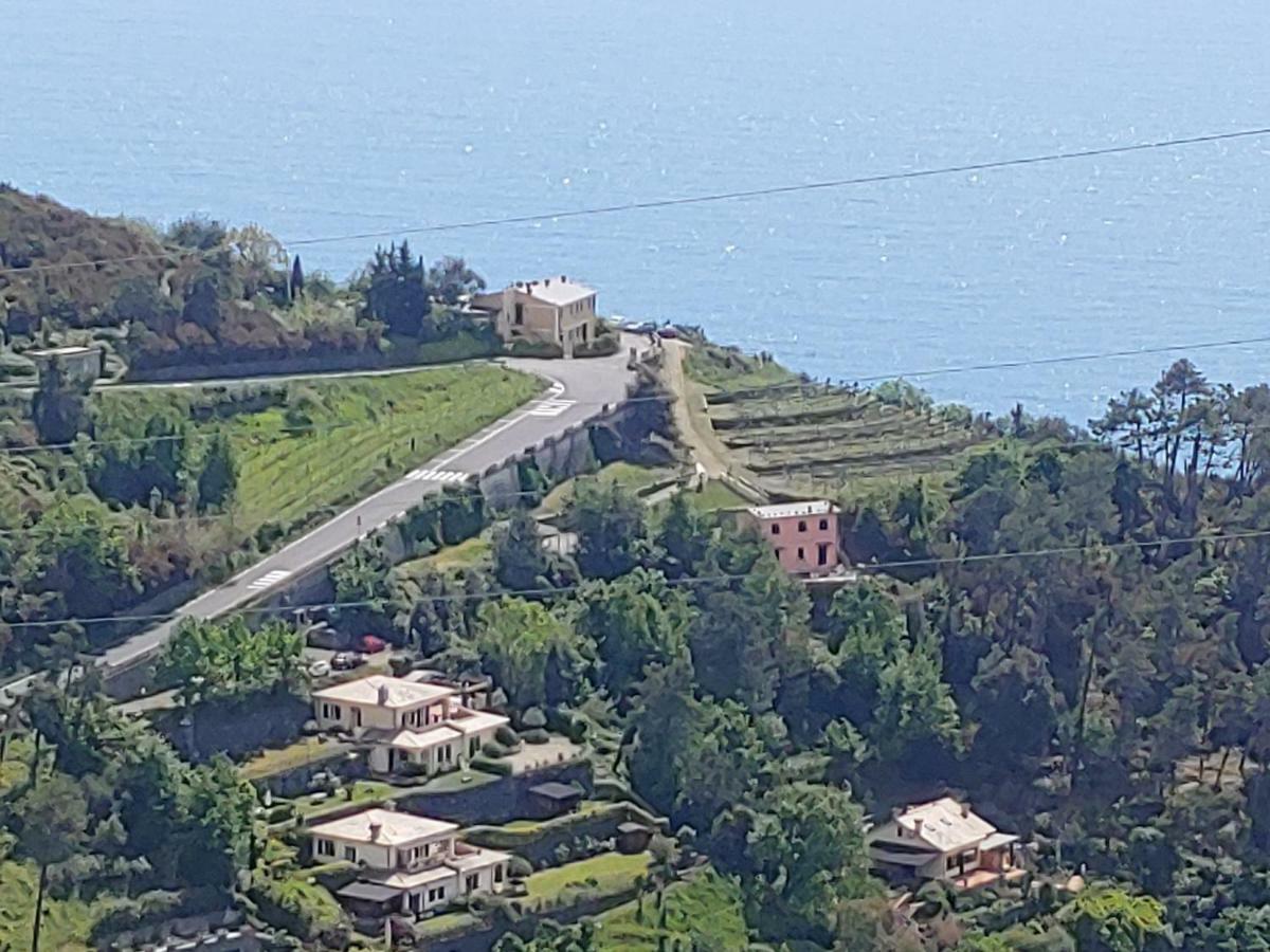 Bed and Breakfast A Ca Me Бонассола Экстерьер фото
